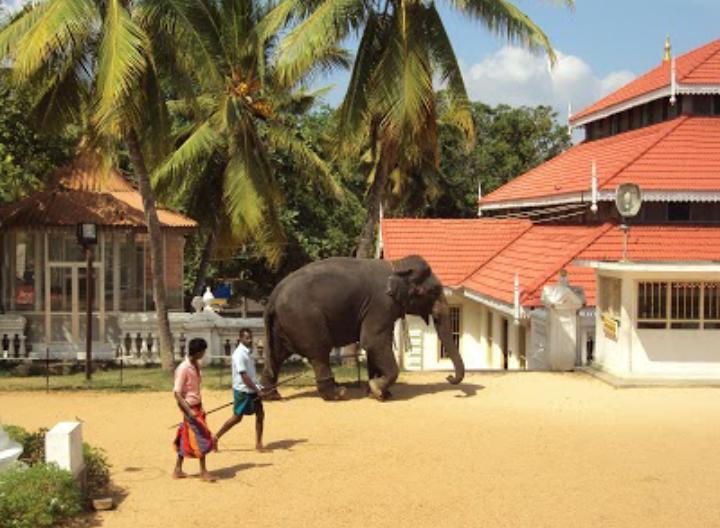 Mutu Villa Dikwella Sur Exterior foto